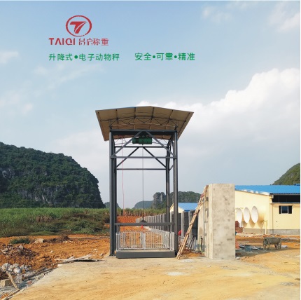 升降式电子动物秤