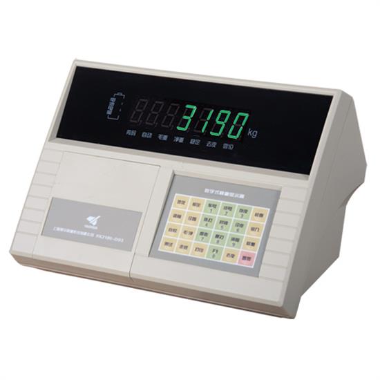 DS3 数字汽车衡仪表