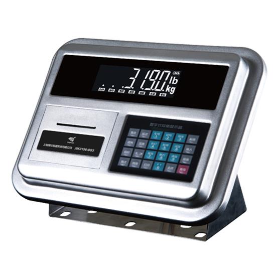 DS6 数字汽车衡仪表