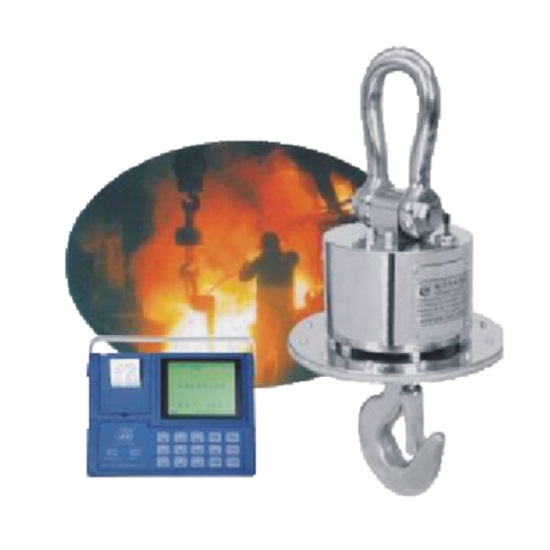 OCS 无线吊钩秤(耐高温系列)